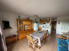 Appartement 3 pièces avec grande terrasse aux Angles - FR-1-593-94 Les Angles